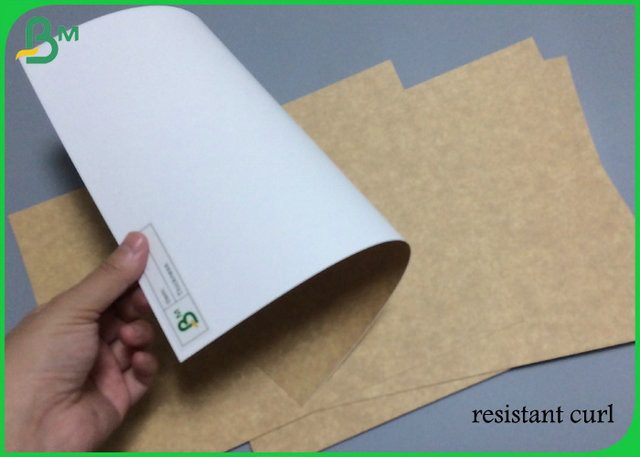 Hoher Widerstand-einfrierendes weißes hinteres Kraftpapier 325g 365g von 31inch 35inch