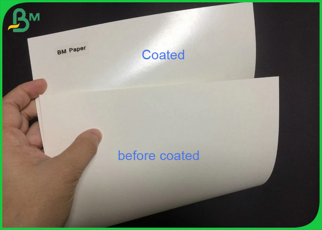 Schalen-Rohpapier-Brett ECO 210 230 Grammages beschichtete Polyäthylen für Papierschale