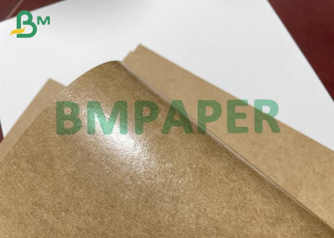 Simplex-PET-überzogenes wasserdichtes Kraftpapier für Wegwerfbrotdosen