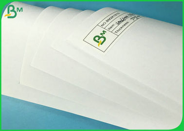 Holz-freies weißes Offsetschreibpapier-Blatt 60G 70G oder Zollamt rollen