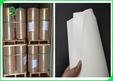 Brett des Elfenbein-300gsm + PET 15g gestrichenes Papier mit FSC und FDA für die Herstellung der Brotdose