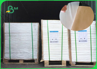 Unschädliches 15gr PET 300gr Rohpapier-Weiß und Brown bedecken für die Herstellung des Kastens der Nahrung