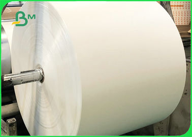 Schalen-Vorrat-Papier Rolls 190gsm 210gsm für Eiscreme völlig recyclebare 720mm 880mm