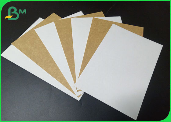 Grad-Weiß der Nahrung250gsm beschichtete Kraftpapier-Rückseiten-Papierrolle für Brot-Kasten