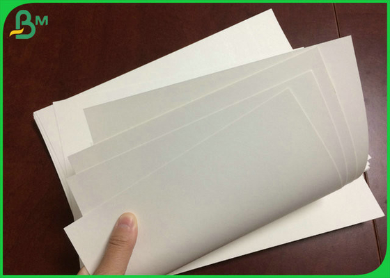 ROLLENbeschichtungs-Matt-PET 98% Weiße 240gr +18g PET Cupstock Papierfür Papierschale