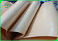 Lebensmittelsicherheit PET beschichtete Kraftpapier 30 - Weiß 350gsm/Brown-Farbe für die Nahrungsmittelverpackung