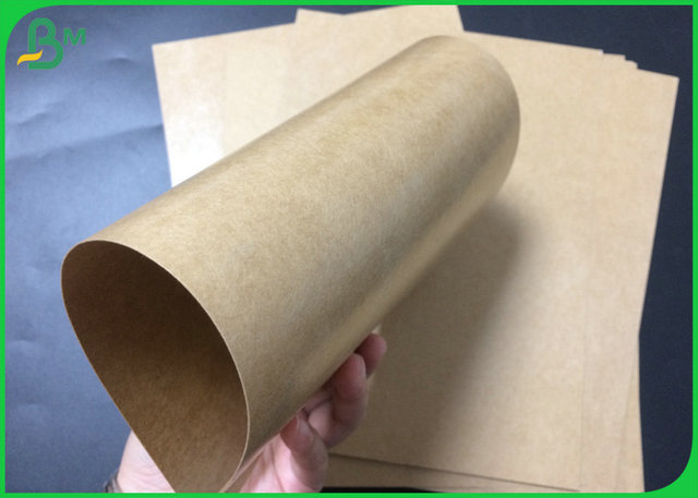 Nahrungsmittelgrad-überzogene Kraftpapier-Polyrolle 300gsm 350gsm zur Nahrung Tray Making