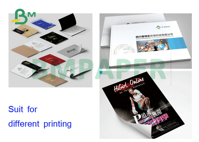 80gsm 100gsm 120gsm 640 x 900mm Matte Coated Double Sided Paper für Tintenstrahl-Drucken