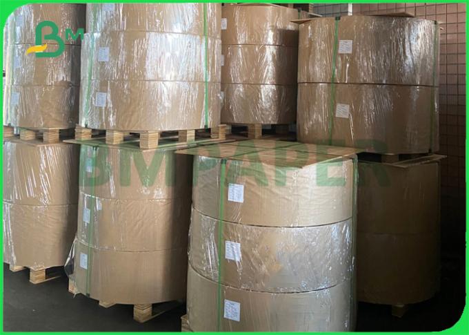 Sicher PET 300gr + 18g gestrichenes Papier für Mittagessen-Pakete 70cm 90cm umweltfreundlich