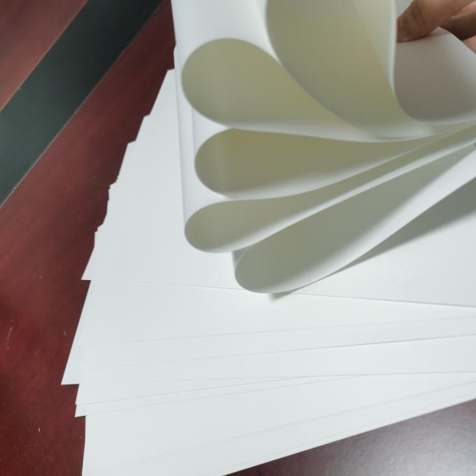 80um erstklassiges Wetter - beständiges HAUSTIER synthetisches Papier für Plakate in der Rolle