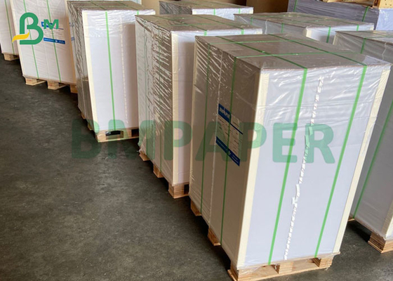 280 g/m² Becherpapier, umweltfreundliches Becherpapier für kalte Getränke, große Blattrolle