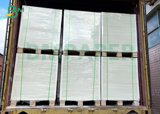 100 g/m² 120 g/m² weißes Kraftpapier in Lebensmittelqualität für Fluglinien-Pappbecher