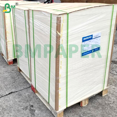 200gm+15gm PE Beschichtete Lebensmittelplatte Wasserdicht & Fettdicht für Burger Boxen Papierbecher Lebensmittelverpackung