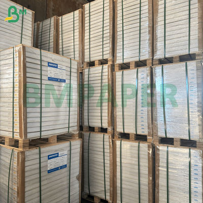 20gsm 21gsm Wax Coated Translucent Muffin Liner Paper For Tulip Cupcake Cups 70 x 100cm