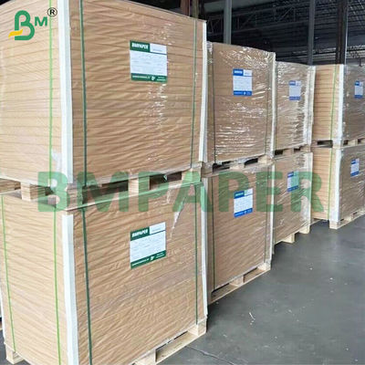Food Grade Heat Resistant Leak-proof Coated Cup Stock Paper Sheets
