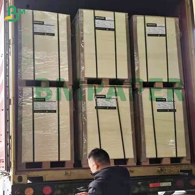 Hochsaugfähige Zellstoffpappe 0,4-2,0 mm für Bierdeckel, naturweiß