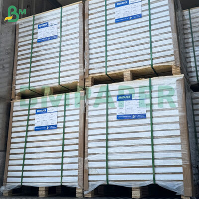 250/300gm Doppelseitig glänzendes Posterpapier 787mm*1092mm