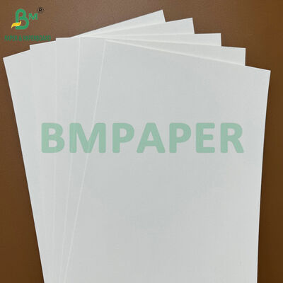 200gsm Eco-Friendly Raw Absorbent Coaster Base Paper Blotting Paper for Beer Mat & Cup Mat Manufacturing