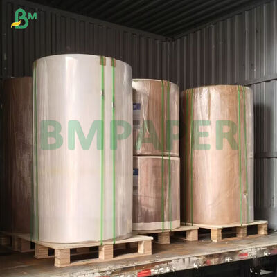 Biodegradable White Kraft Paper Roll & Sheet For Food Packaging Bread Paper Bags 