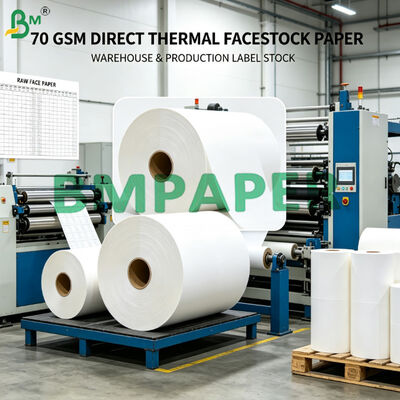 Thermal Self Adhesive Label Face Paper Raw Material Jumbo Rolls for Thermal Labels