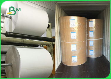 Wegwerf PET 300gsm + 10g Brotdose-Papier für Nahrungsmittelverpackung 100% biologisch abbaubar