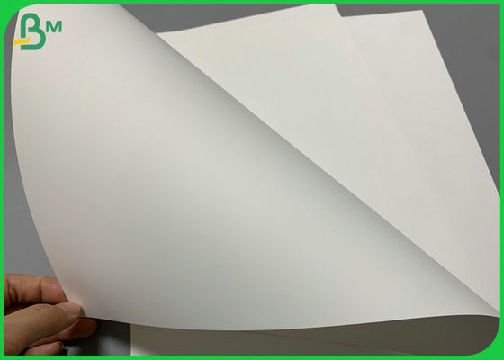 Nicht- tearable synthetische ausgezeichnete Papierdruckfähigkeit 8&quot; 100um 120um X12“