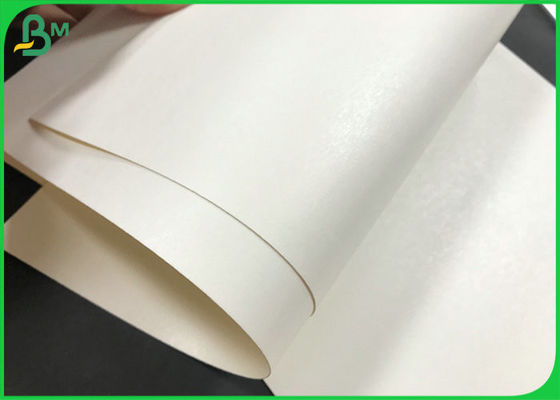 Nahrungsmittelgrad PET oder Winkel des Leistungshebels beschichteten weißes Rohpapier-Brett Rolls für Papierschalen