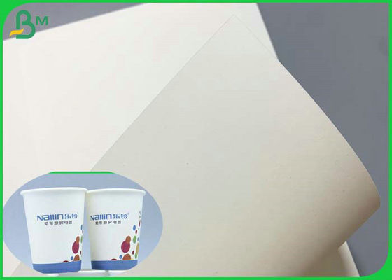 SGS Diplom-PET 230g 260g beschichtete Cupstock Rolle Rohpapier-850mm