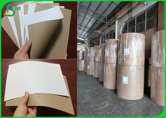 Aufbereiteter Karton Masse Jumbol-Rollen170gsm 200gsm C1S Grey Back Paper For Beer