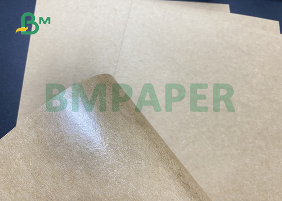 Öl prüfen 90gsm 450gsm PET beschichtetes Kraftpapier Linerboard für Hamburger-Kasten