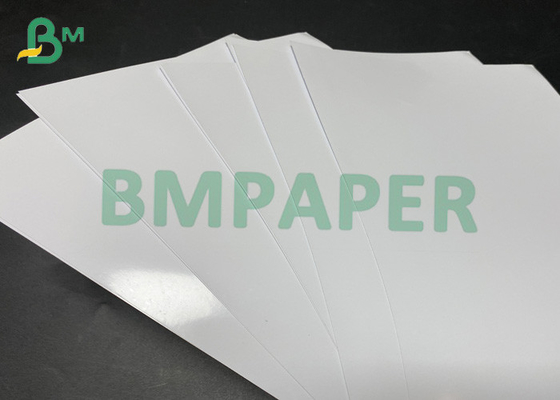 hohes weißes glattes Foto Papier-Rolls 230gsm 432mm für Tintenstrahl-Drucken