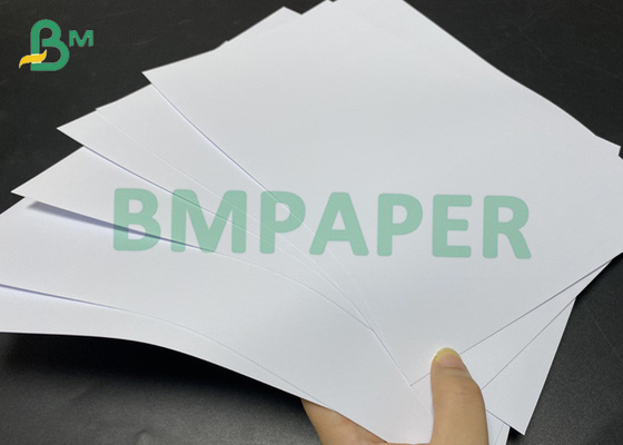 Fotopapier 260gsm 610mm x 432mm schnelles Tinten-Tintenstrahl-Drucken
