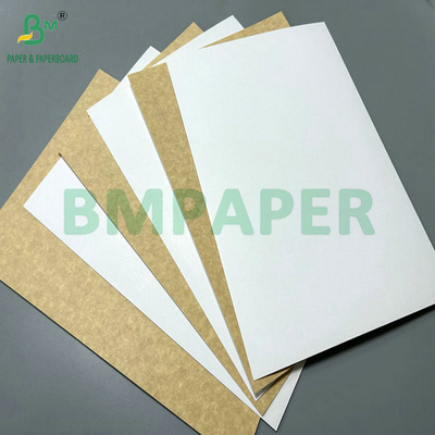 100% Lebensmittelsicherheit 325 Gramm 360 Gramm Beschichtetes Recyclingpapier zur Herstellung von Lunchbox
