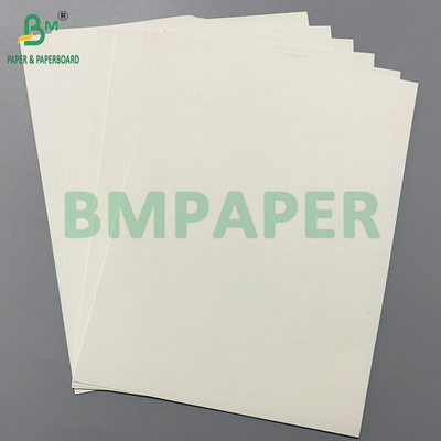 PE-beschichtete Pappe 260 gm + 15 gm PE zur Herstellung von Frittierkühlchenbehältern