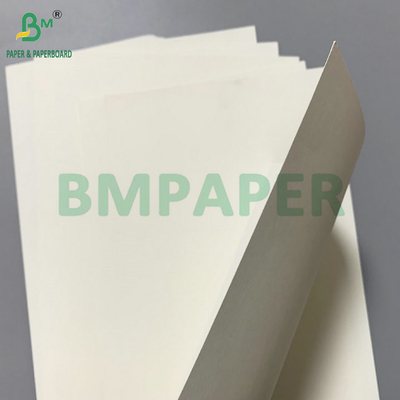 PE-beschichtete Pappe 260 gm + 15 gm PE zur Herstellung von Frittierkühlchenbehältern