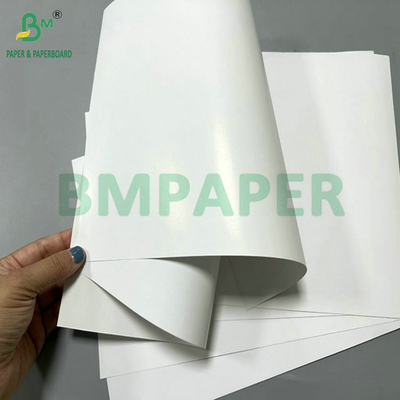 18 x 14 Zoll doppelseitiges Brillantes C2S beschichtetes glänzendes Papier mit 100g 120g