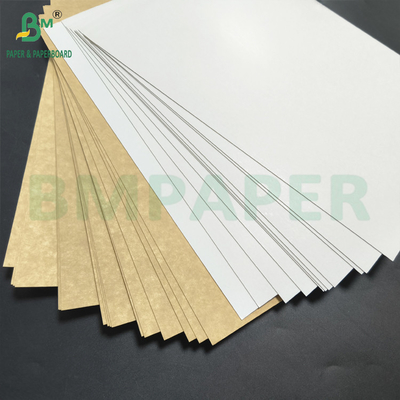 Voll Pigment Beschichtet Mehrschicht Kraft Rückenbrett 275gm Top Weiß