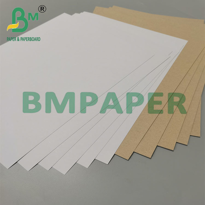 350 g 79 x 109 cm beschichtete Duplexplatte mit Rückseite grau für pharmazeutische Verpackungen
