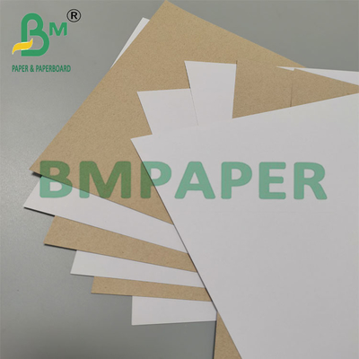350 g 79 x 109 cm beschichtete Duplexplatte mit Rückseite grau für pharmazeutische Verpackungen