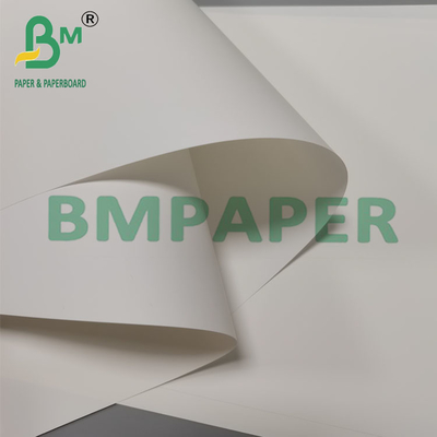 250um 260mm Hitzebeständiges synthetisches Broschürpapier