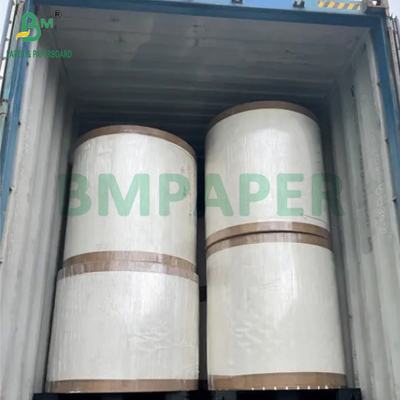 190gm + 15g PE P1S Becher Papier Glanz für Cafés Wasserdicht 720mm 880mm