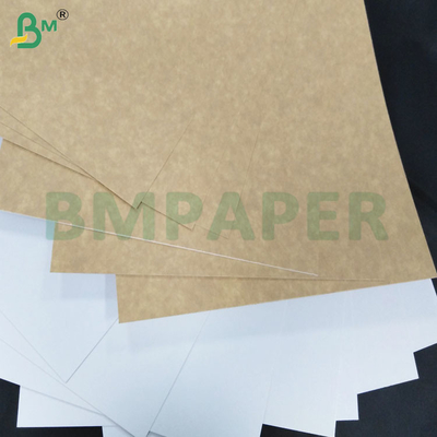 200-360 GSM Einseitig eingefrorenes Kraftpapierblatt