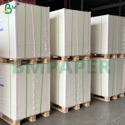 Hohe Absorptionsqualität Absorptionspapier für Biermatten