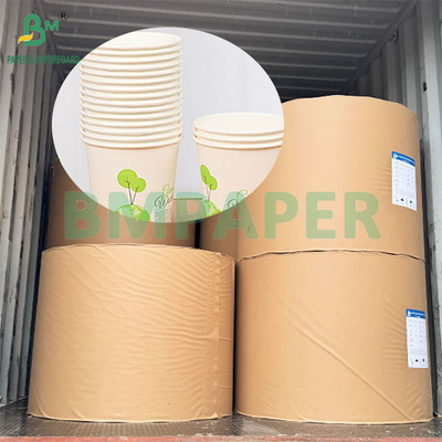 190gm 320gm+15gPE beschichtetes Lebensmittelpapier für einmalige Warmkaffeebecher
