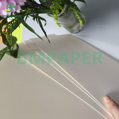 190gm 320gm+15gPE beschichtetes Lebensmittelpapier für einmalige Warmkaffeebecher