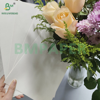 190gm 320gm+15gPE beschichtetes Lebensmittelpapier für einmalige Warmkaffeebecher