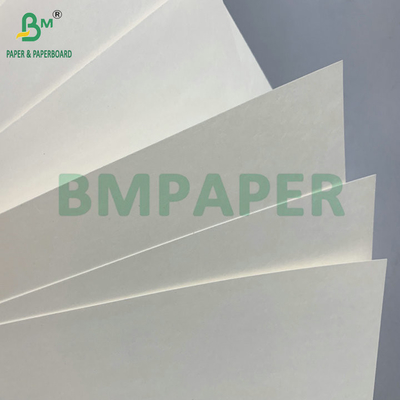C1S PE Oberfläche 210gm 230gm Becher Papier für Getränke Becher Jumbo Roll