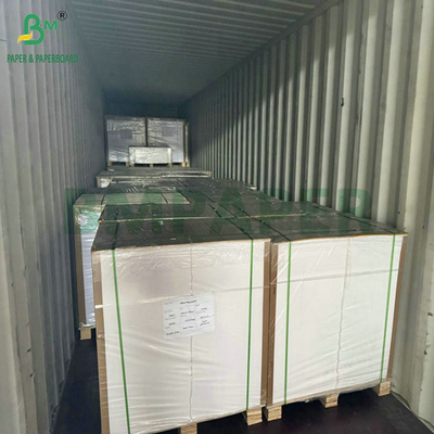 Lebensmittelqualität 250 Gramm 737 mm Wasserdichtes Becherzeug 1 PE-Papier für Becher