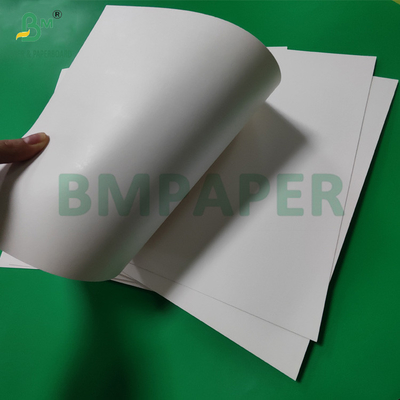 300gm +15g PE beschichtete Papierbecher Stock Board für heiße Getränke 820mm 880mm