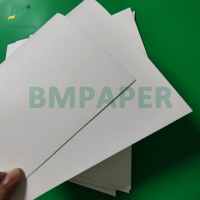 300gm +15g PE beschichtete Papierbecher Stock Board für heiße Getränke 820mm 880mm